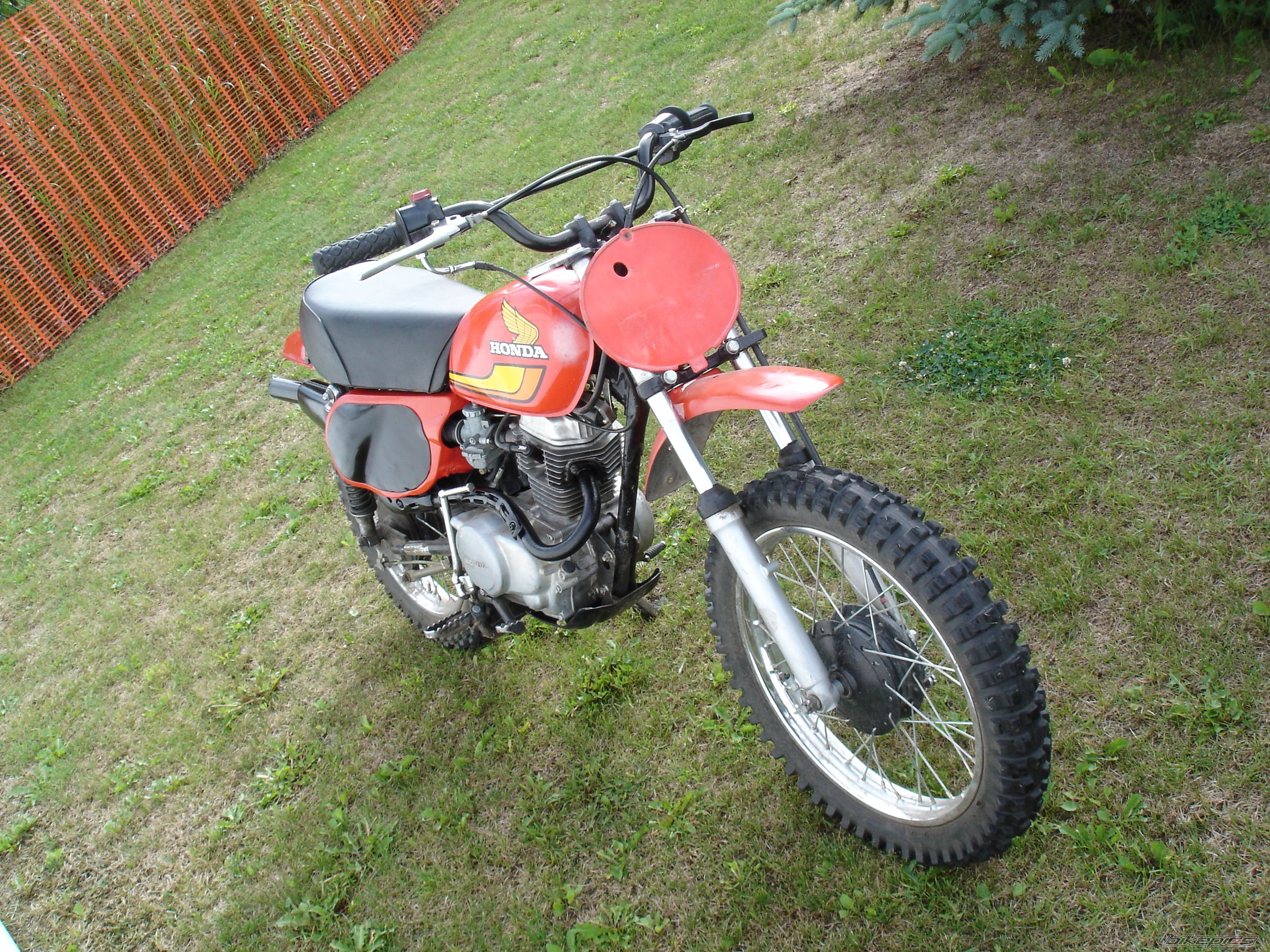 1978 HONDA XL 75 | Picture 2012379 motorcycle photo