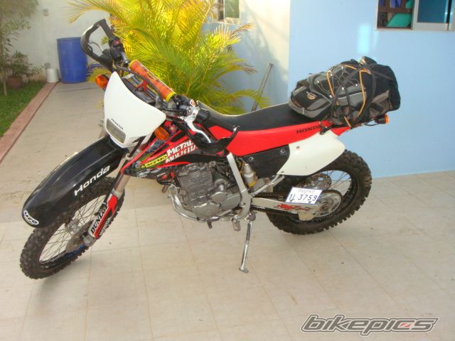 2005 HONDA XR 250 | Picture 2012446 motorcycle photo
