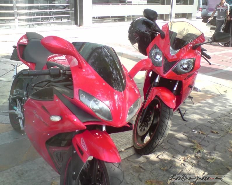 2010 DUCATI 1098 | Picture 2012787 motorcycle photo