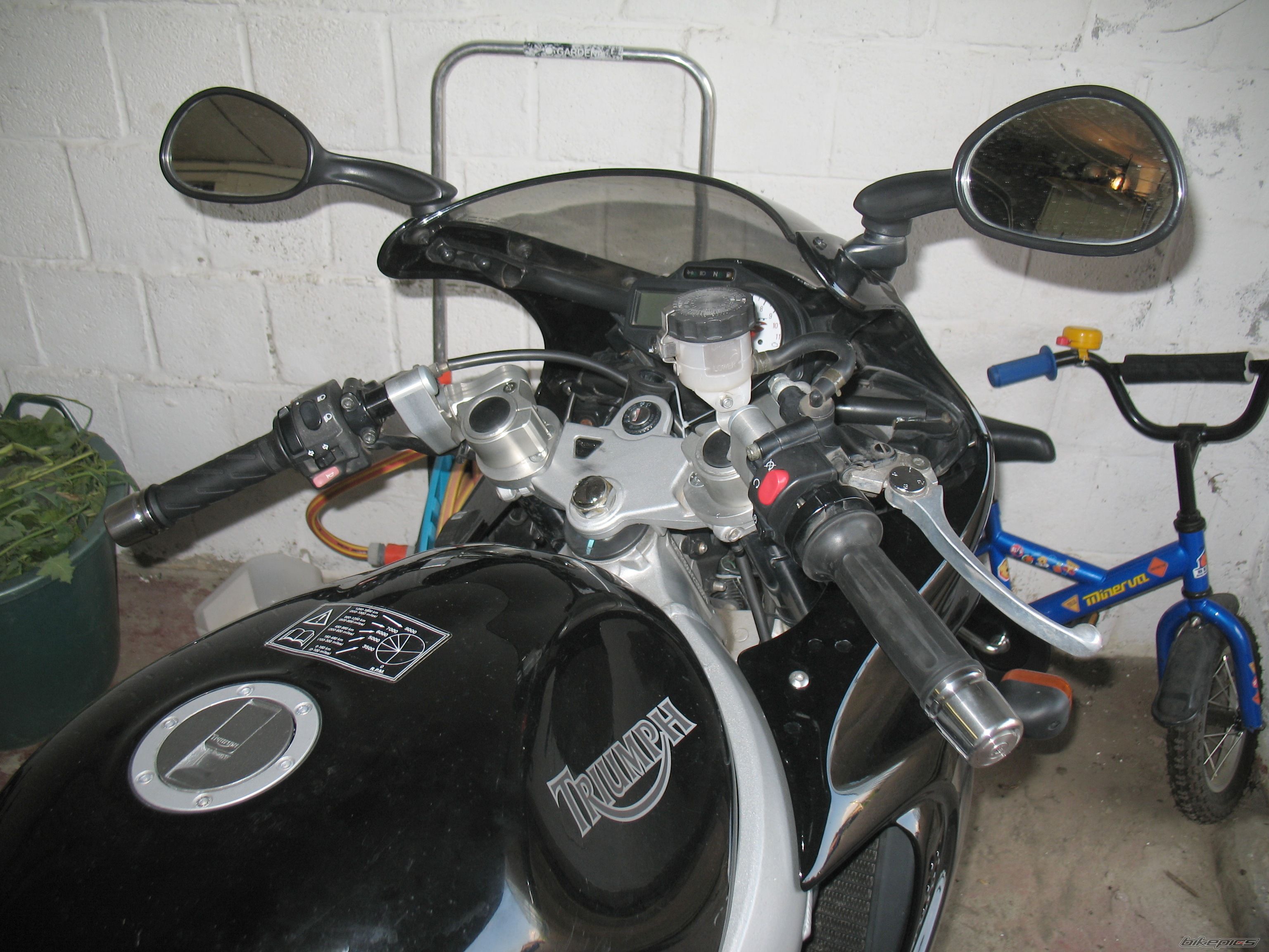 2002 TRIUMPH SPRINT RS | Picture 2012920 motorcycle photo