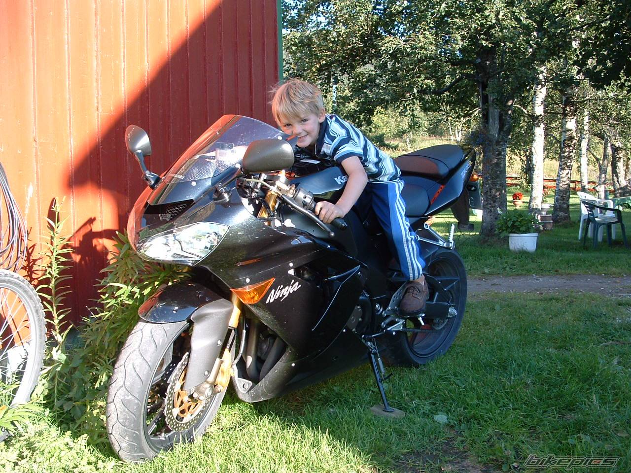 2004 KAWASAKI ZX 10R | Picture 201336 motorcycle photo