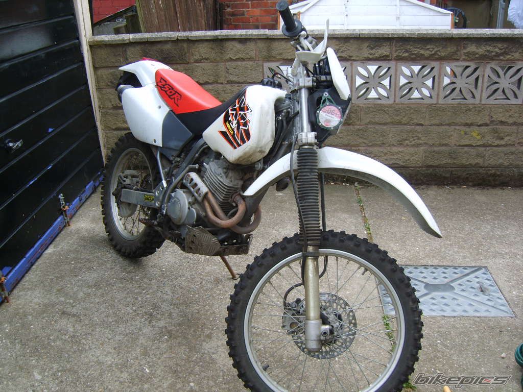 1999 HONDA XR 250 | Picture 2013382 motorcycle photo