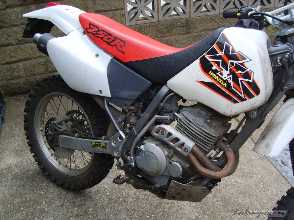 1999 HONDA XR 250 | Picture 2013383 motorcycle photo