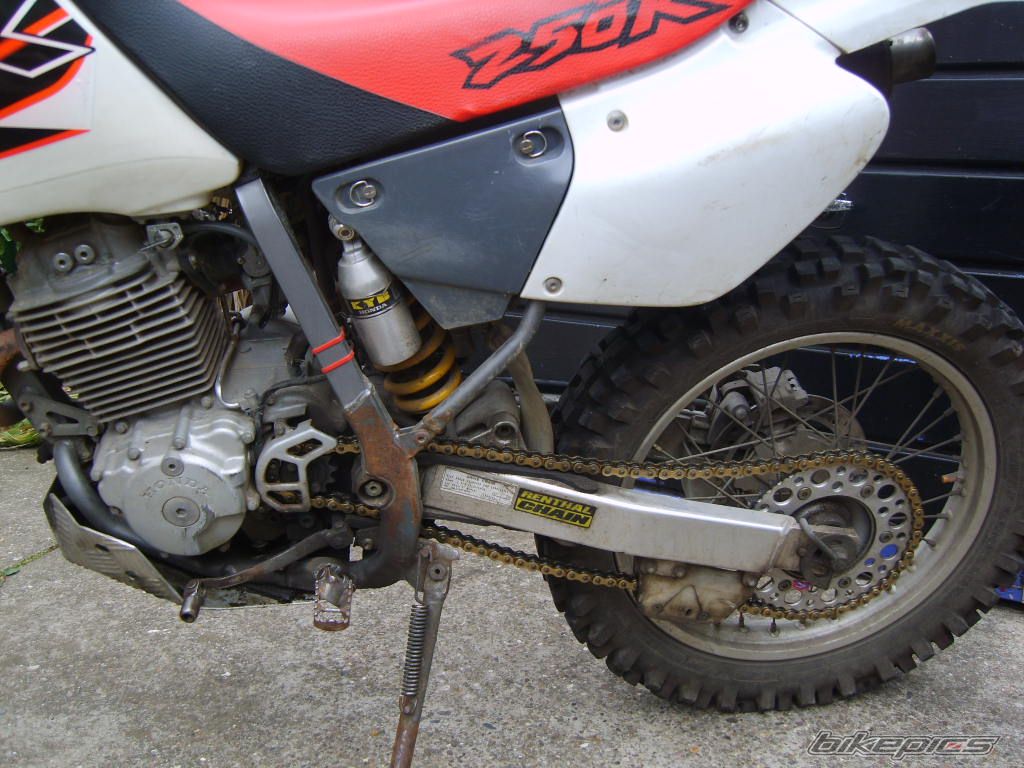1999 HONDA XR 250 | Picture 2013384 motorcycle photo