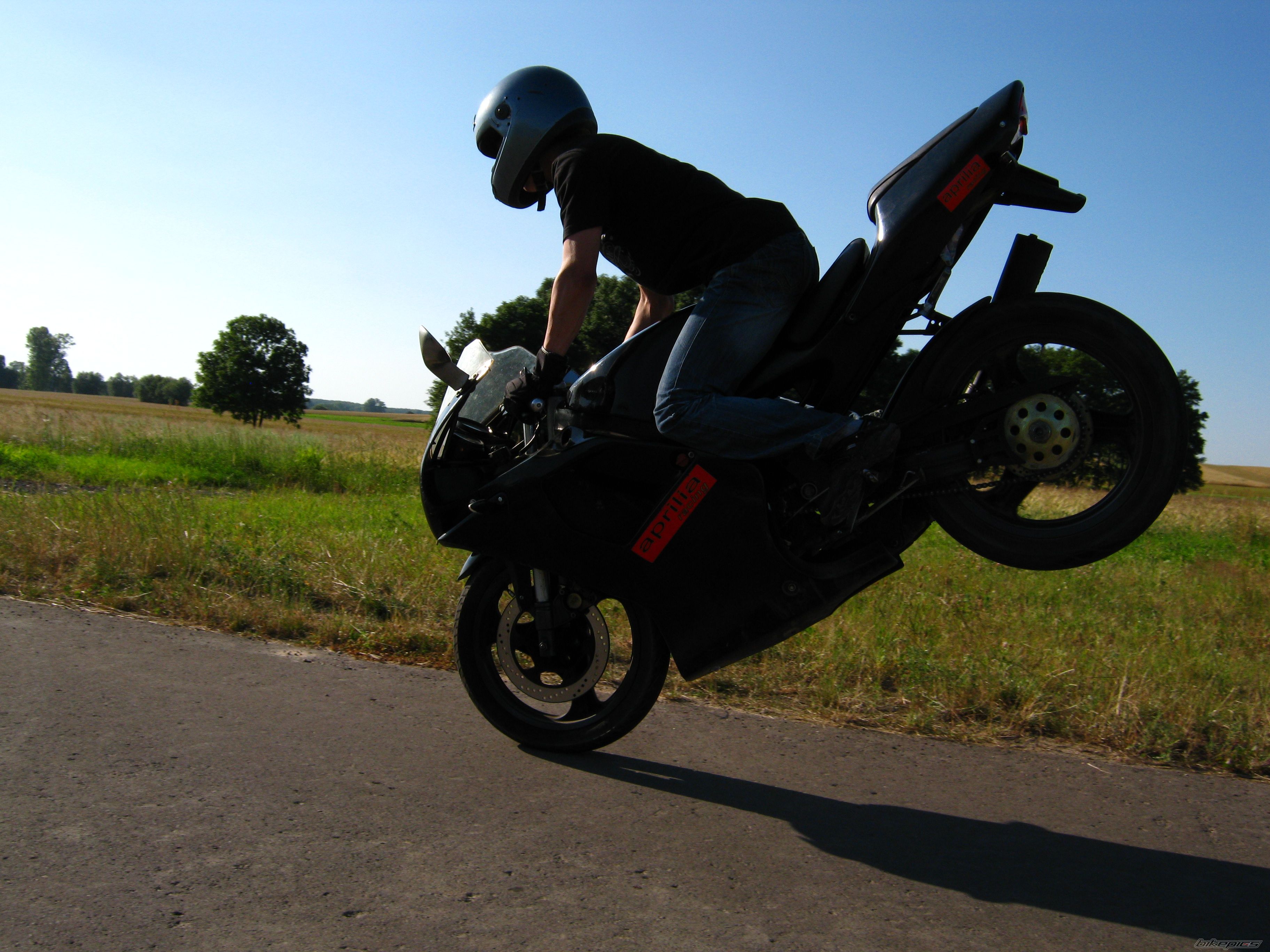 1993 APRILIA RS 50 | Picture 2013501 motorcycle photo