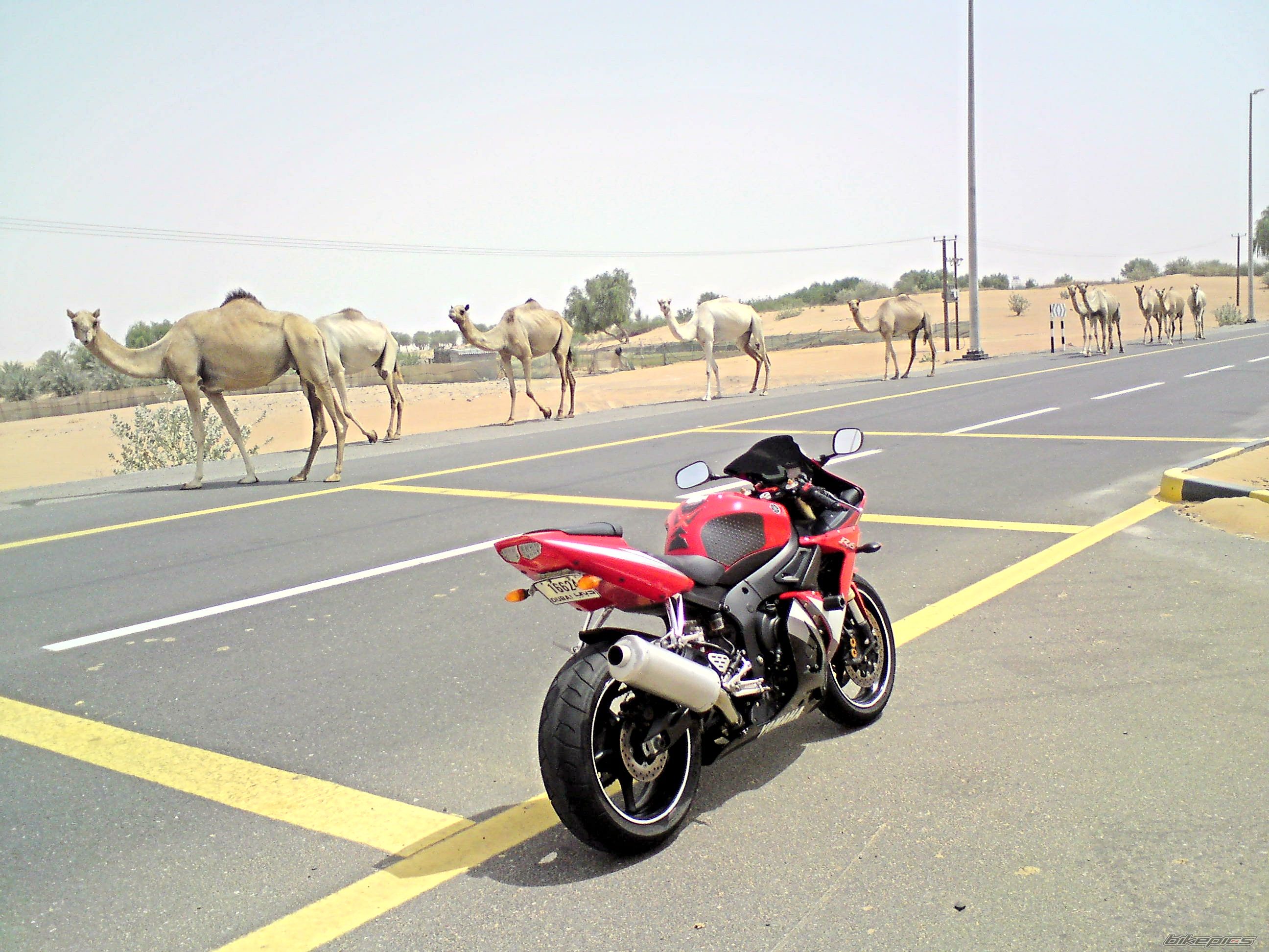 2005 YAMAHA YZF R6 | Picture 2013683 motorcycle photo