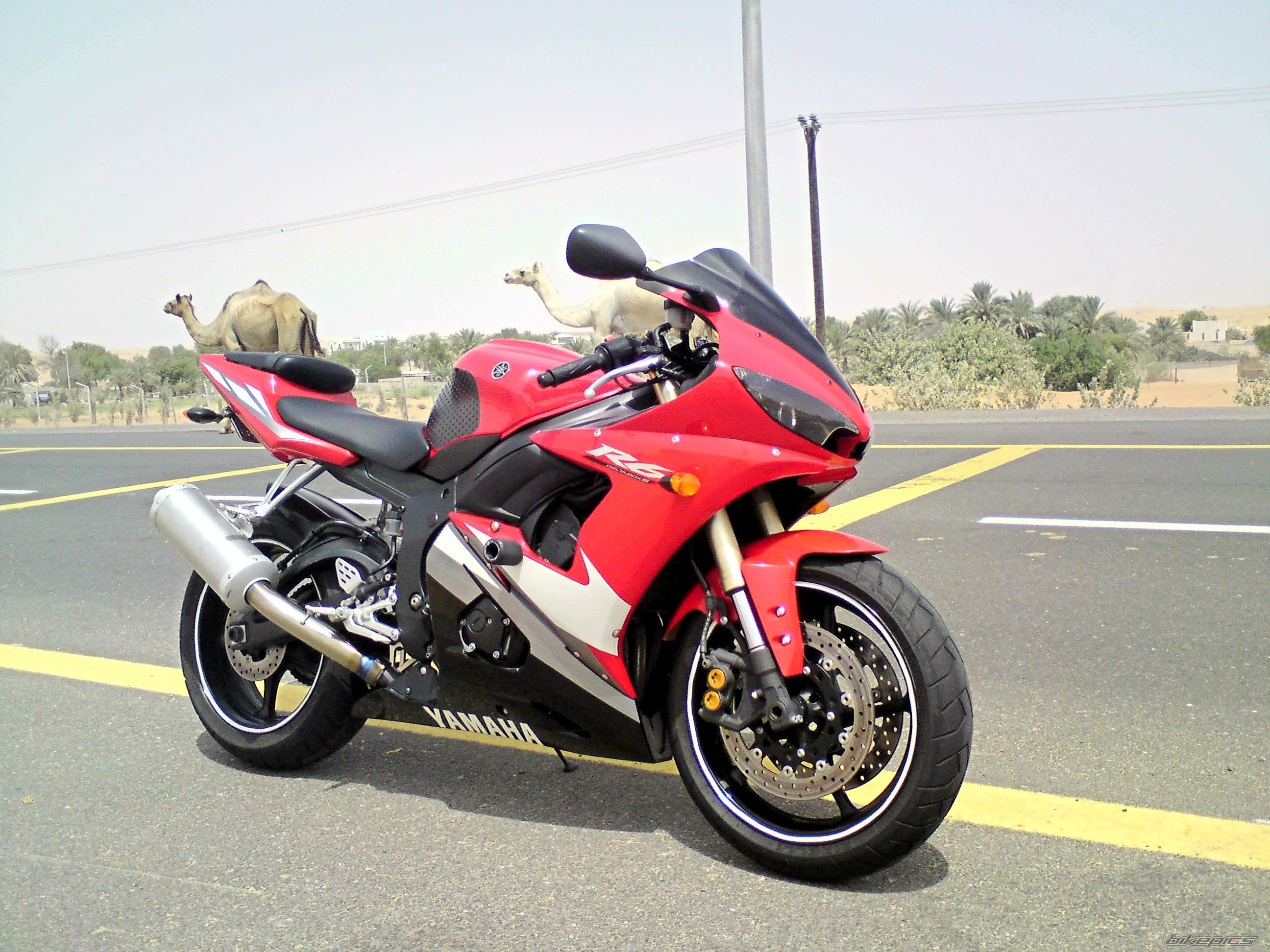 2005 YAMAHA YZF R6 | Picture 2013684 motorcycle photo