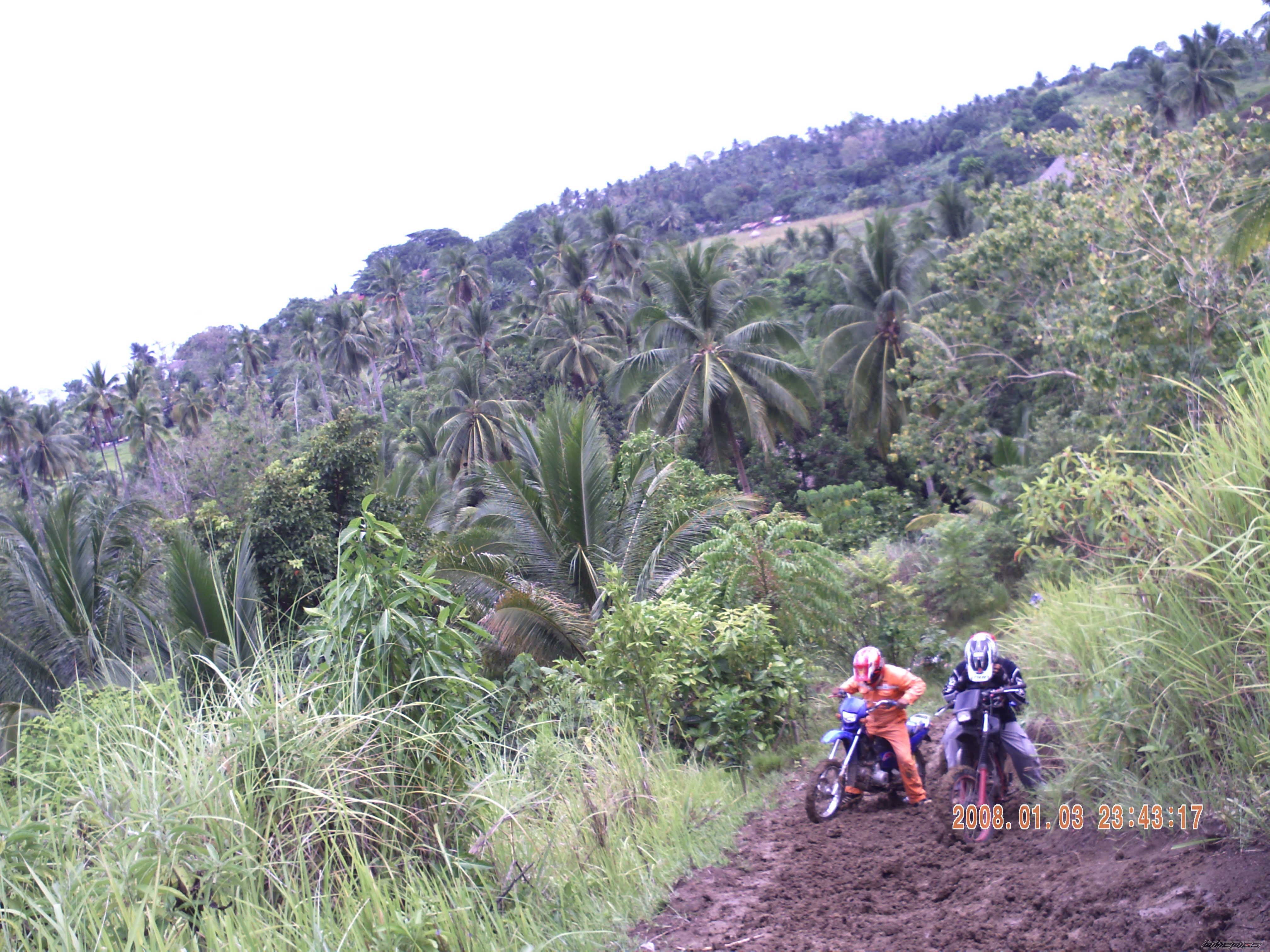 2010 HONDA XRM 110 | Picture 2014246 motorcycle photo