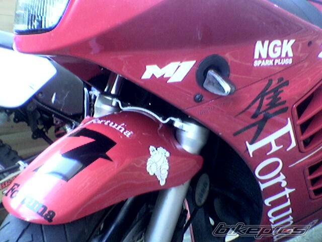 1995 SUZUKI RF 600 | Picture 201434 motorcycle photo