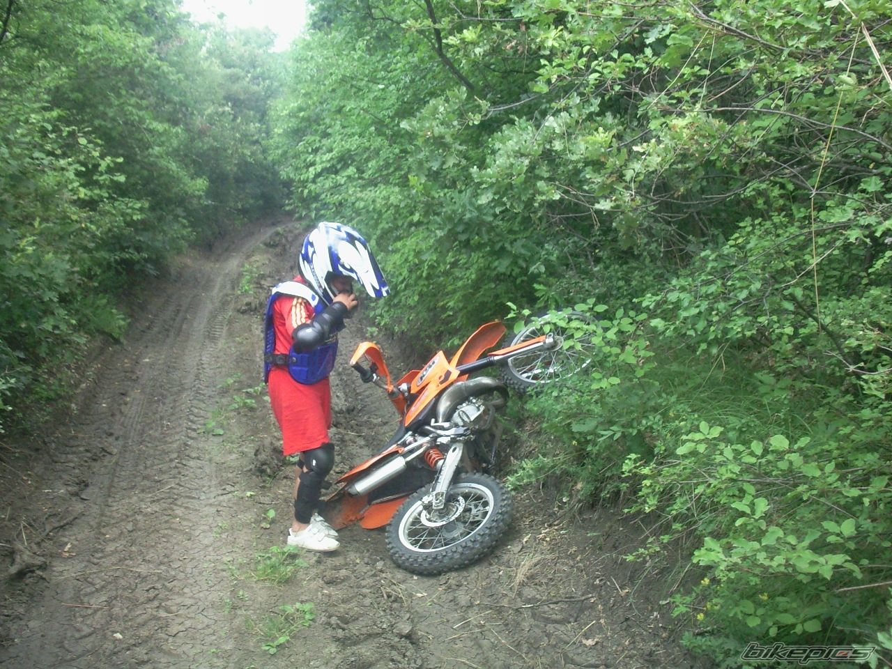 2009 KTM 85 SX | Picture 2014341 motorcycle photo