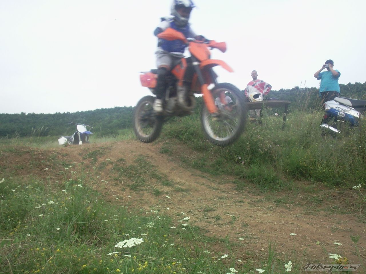 2009 KTM 85 SX | Picture 2014343 motorcycle photo