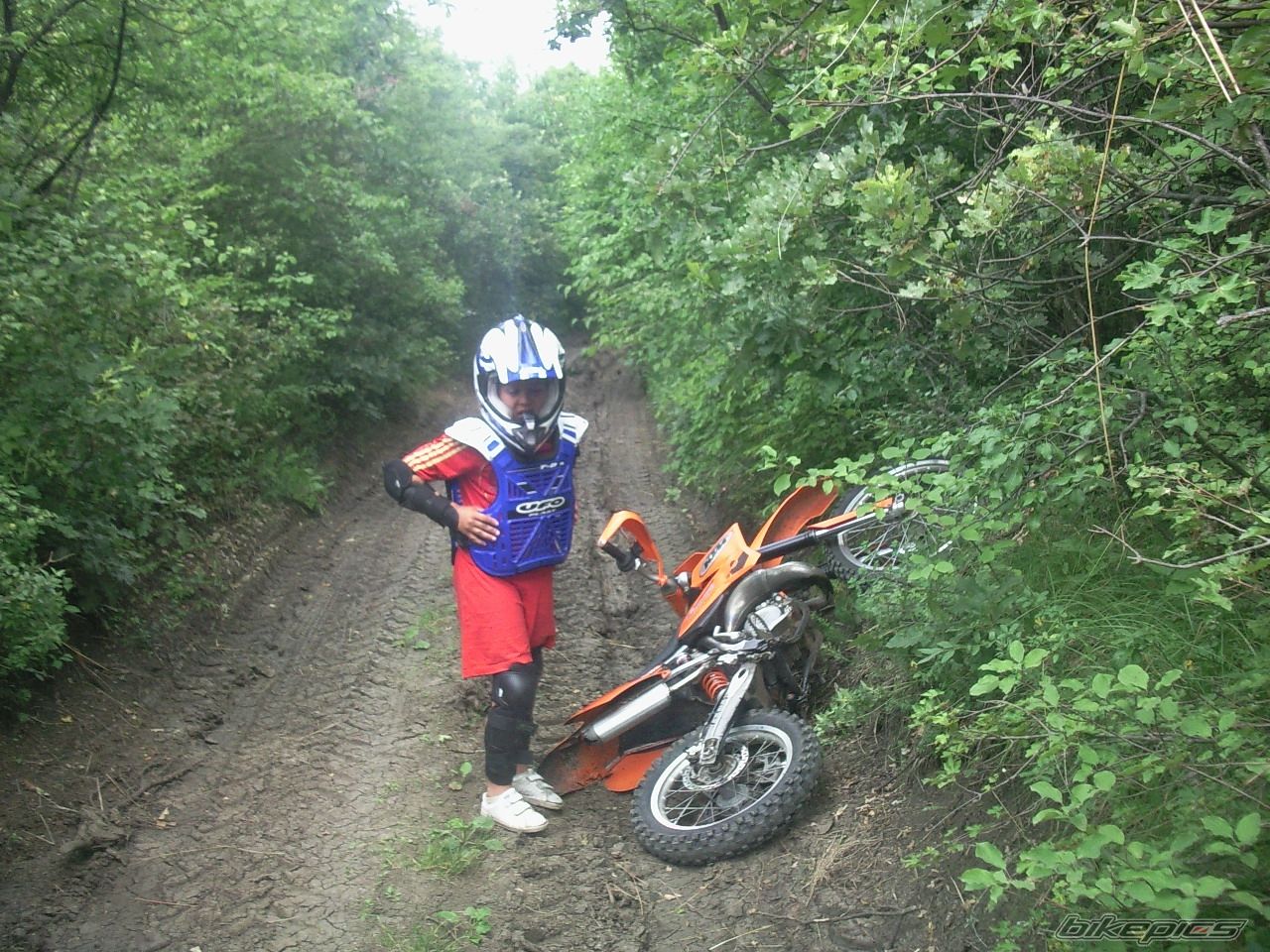 2009 KTM 85 SX | Picture 2014346 motorcycle photo