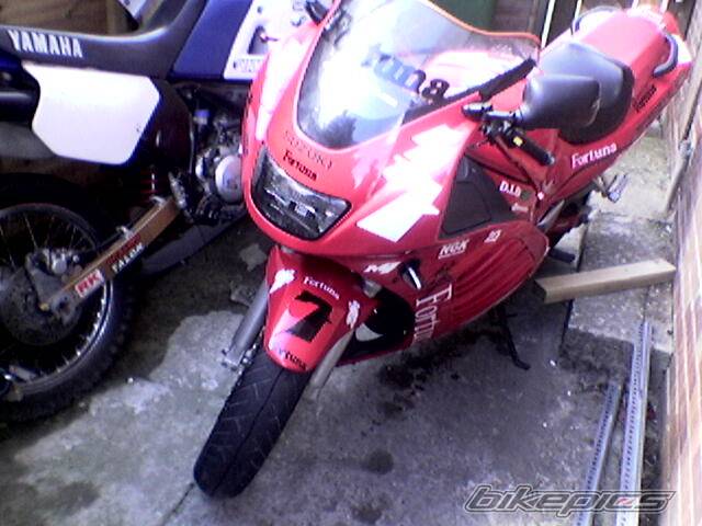 1995 SUZUKI RF 600 | Picture 201439 motorcycle photo