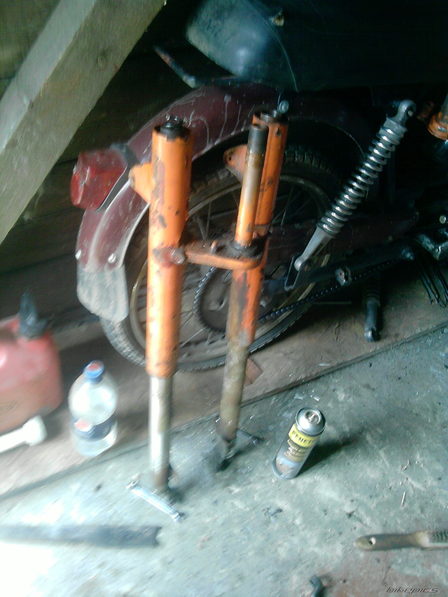 1970 WSK 125 | Picture 2014420 motorcycle photo