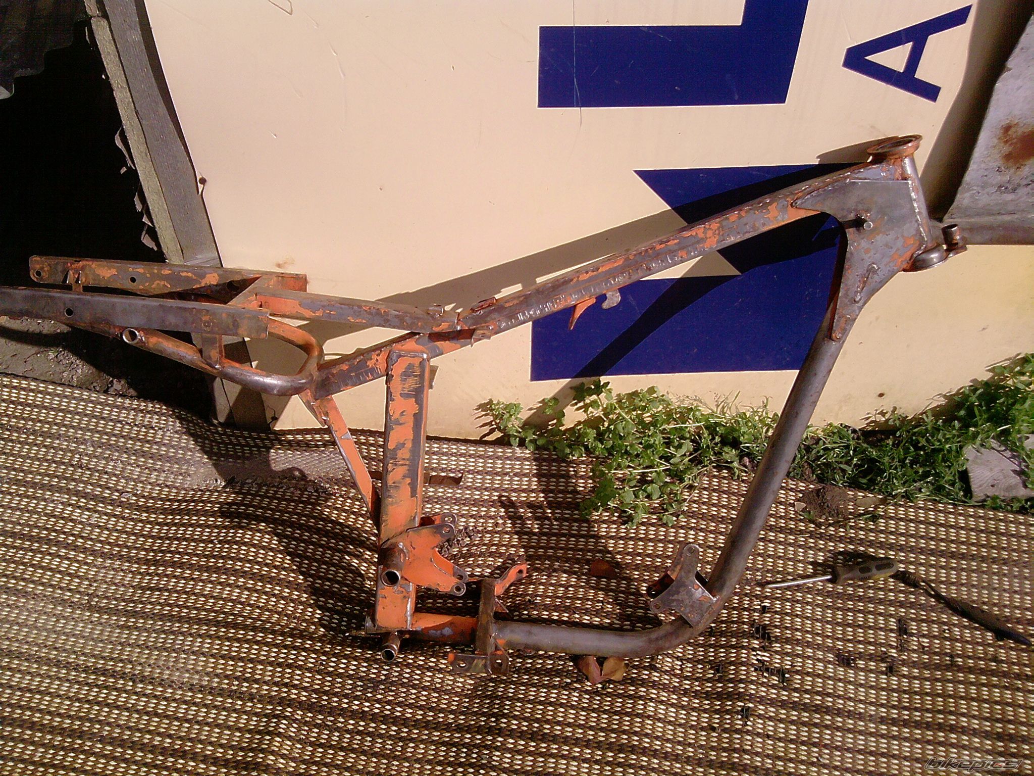 1970 WSK 125 | Picture 2014423 motorcycle photo