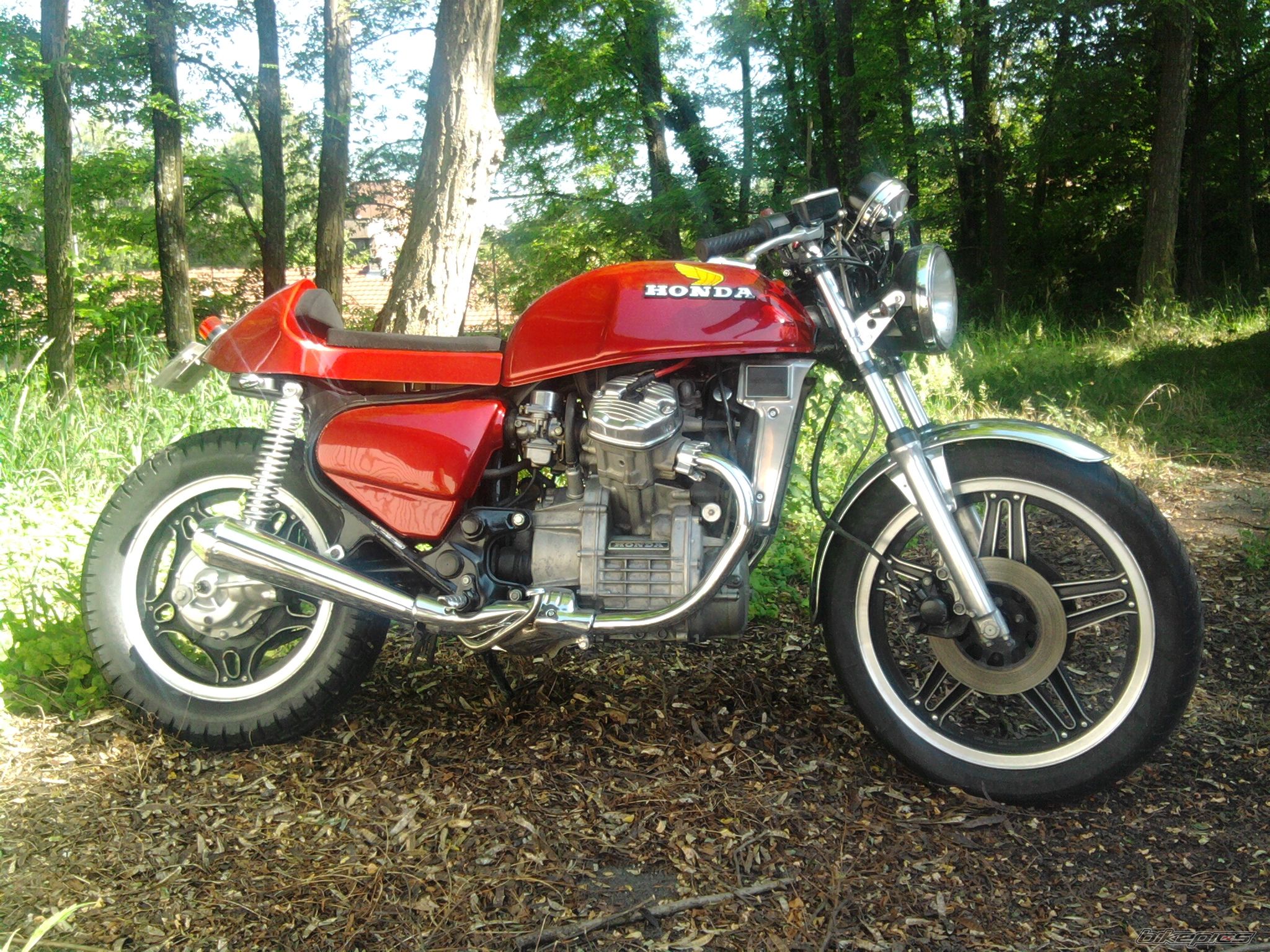 1982 HONDA CX500 | Picture 2014691 motorcycle photo
