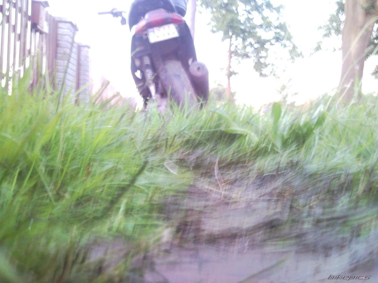 2010 SIMSON S 51 | Picture 2014787 motorcycle photo