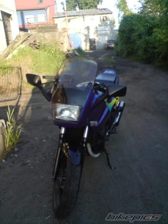 1995 KAWASAKI GPZ 500 | Picture 2014792 motorcycle photo