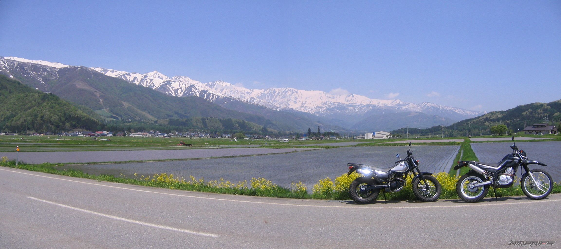 2003 YAMAHA TW 200 | Picture 2014802 motorcycle photo