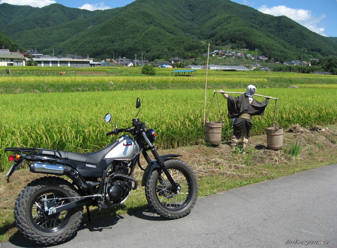 2003 YAMAHA TW 200 | Picture 2014806 motorcycle photo