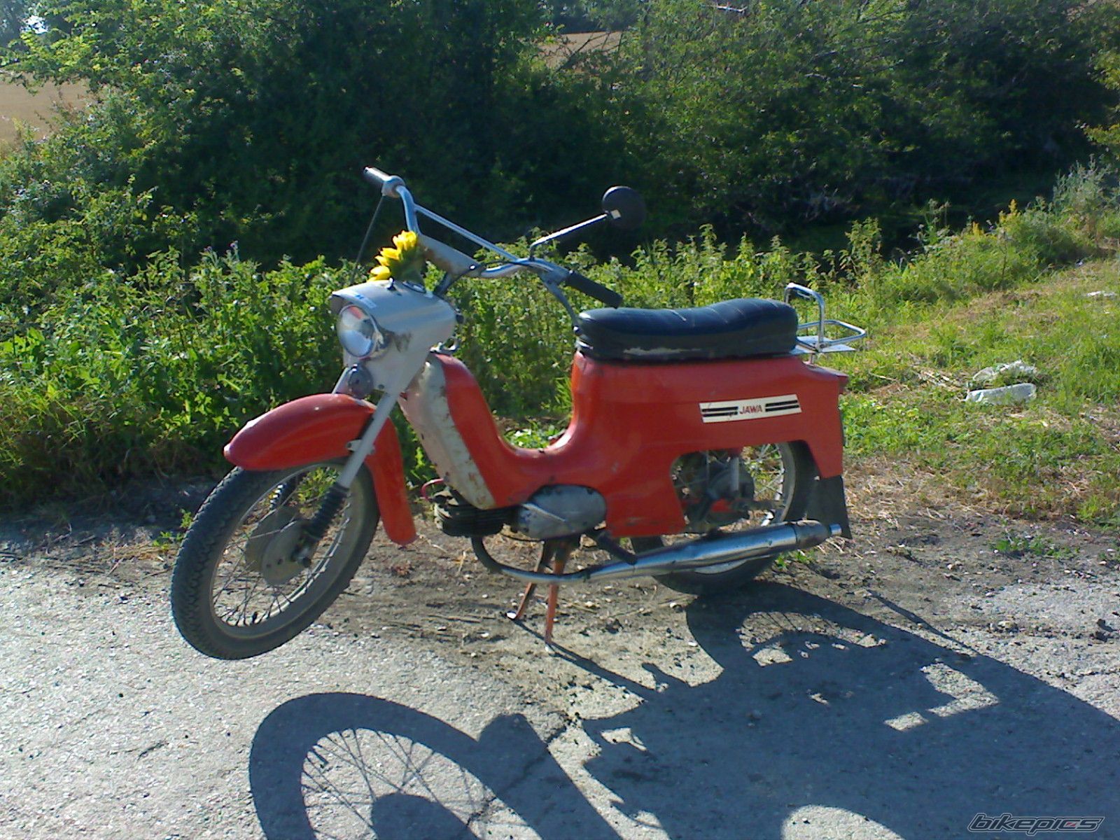 1969 JAWA MUSTANG 50 | Picture 2015062 motorcycle photo