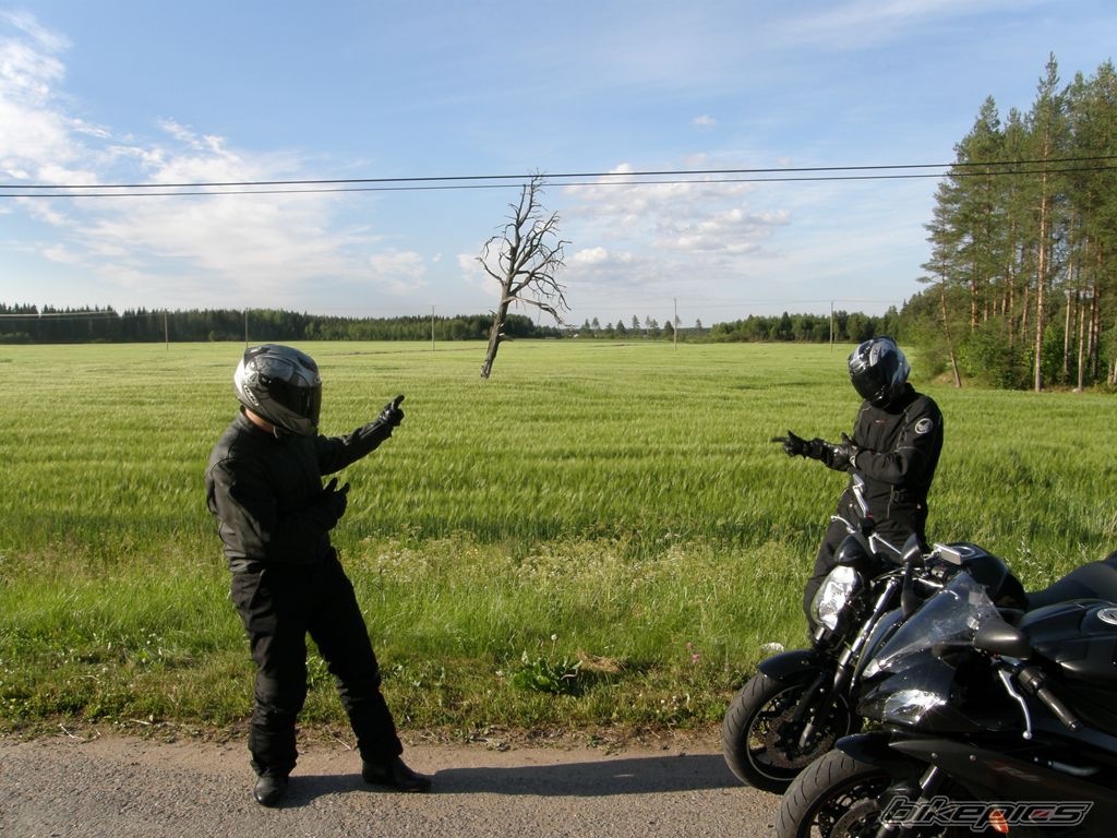 2008 KAWASAKI ER 6N | Picture 2015125 motorcycle photo