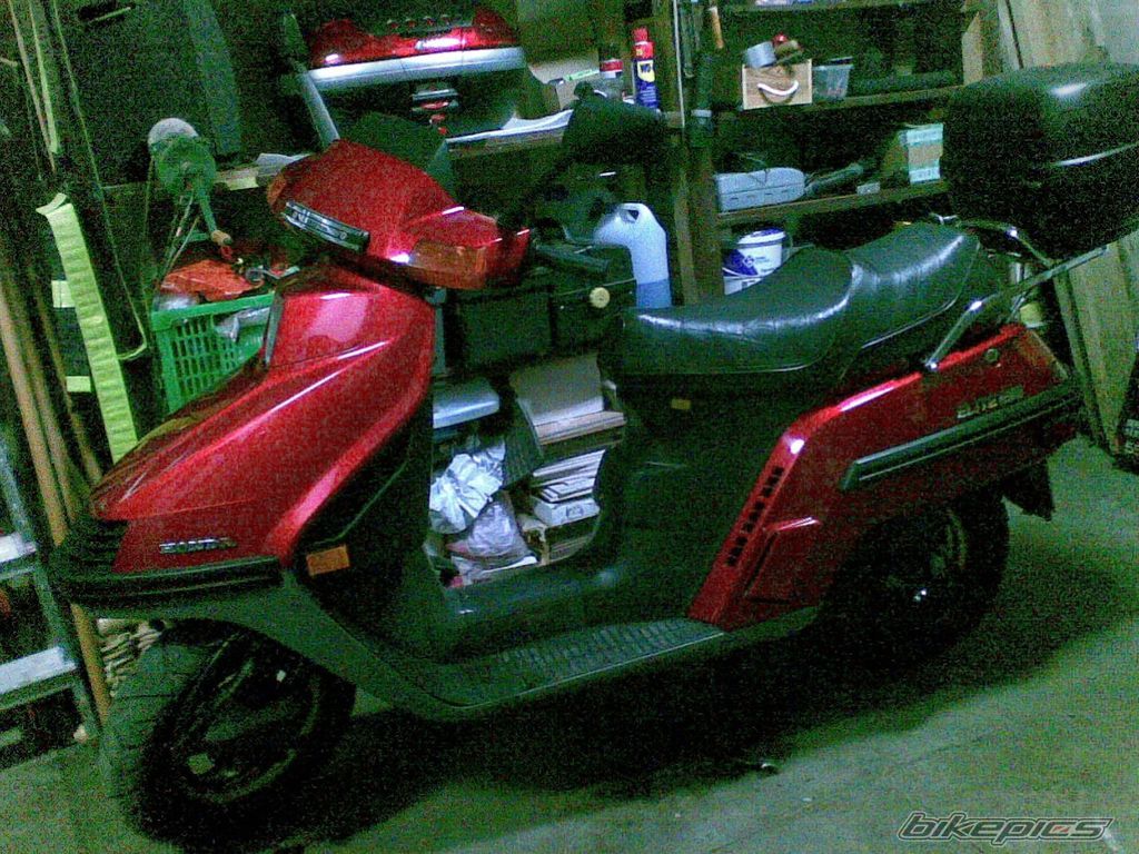 1987 HONDA ELITE | Picture 2015237 motorcycle photo