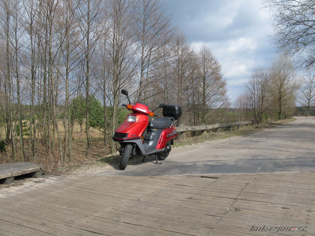 1987 HONDA ELITE | Picture 2015239 motorcycle photo