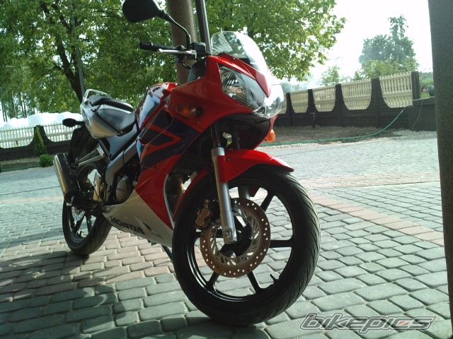 2006 HONDA CBR 125 | Picture 2015692 motorcycle photo