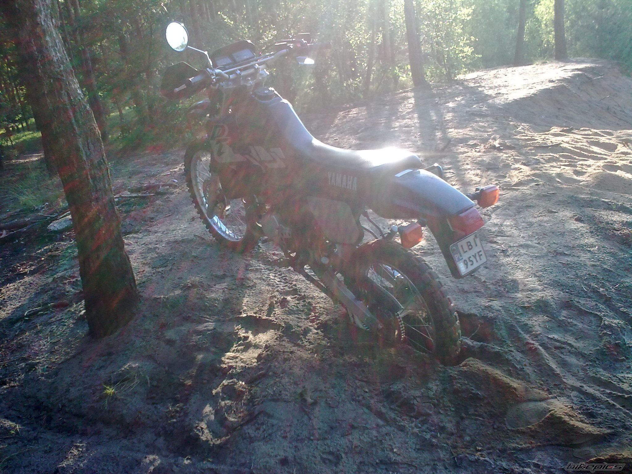 2000 YAMAHA DT 125 | Picture 2015829 motorcycle photo