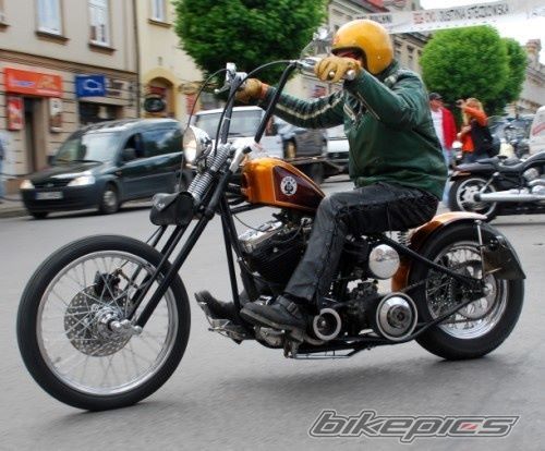 1986 HARLEY DAVIDSON CUSTOM LOW RIDER | Picture 2016037 motorcycle photo