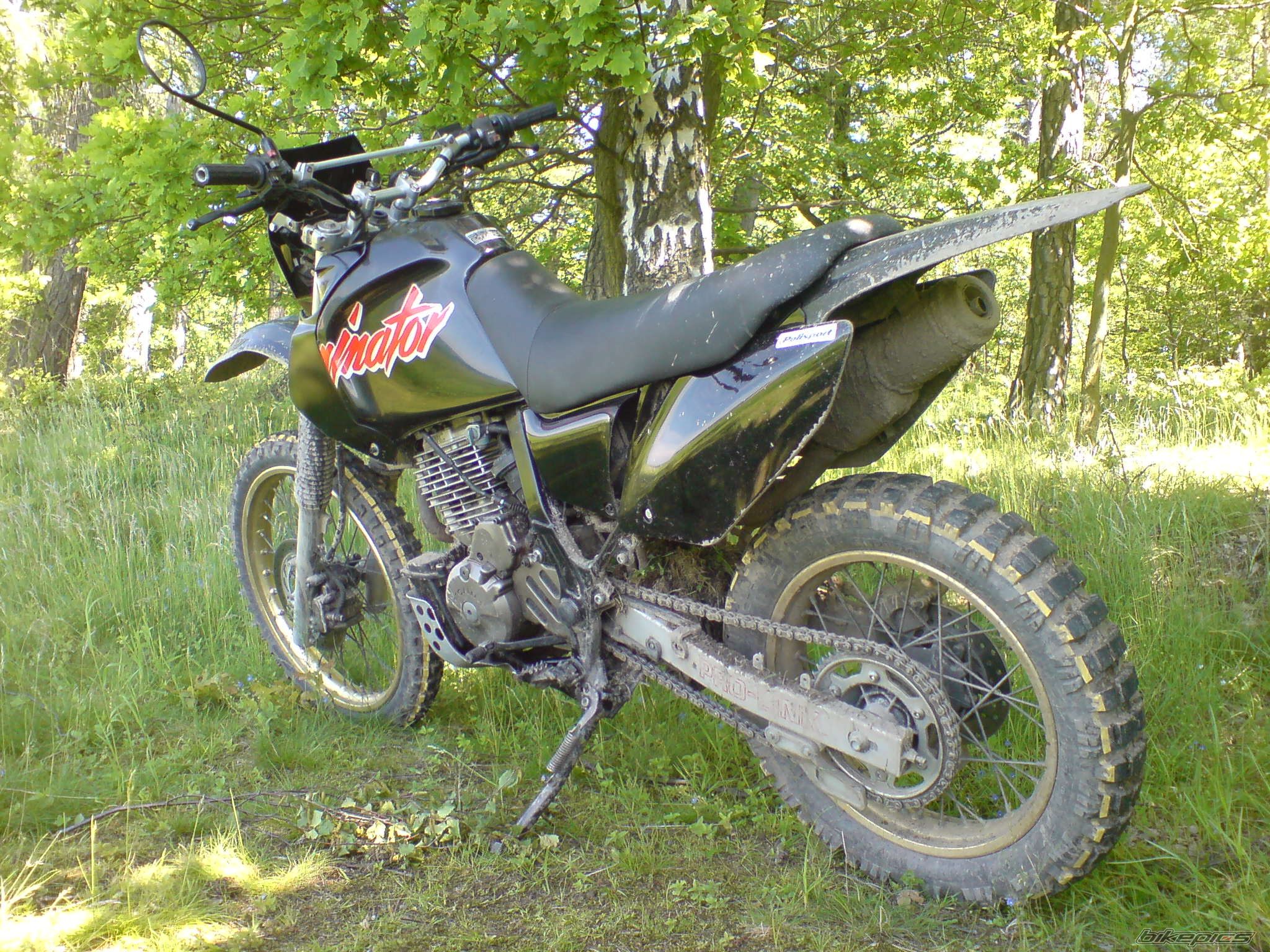 1988 HONDA NX 650 DOMINATOR | Picture 2016081 motorcycle photo