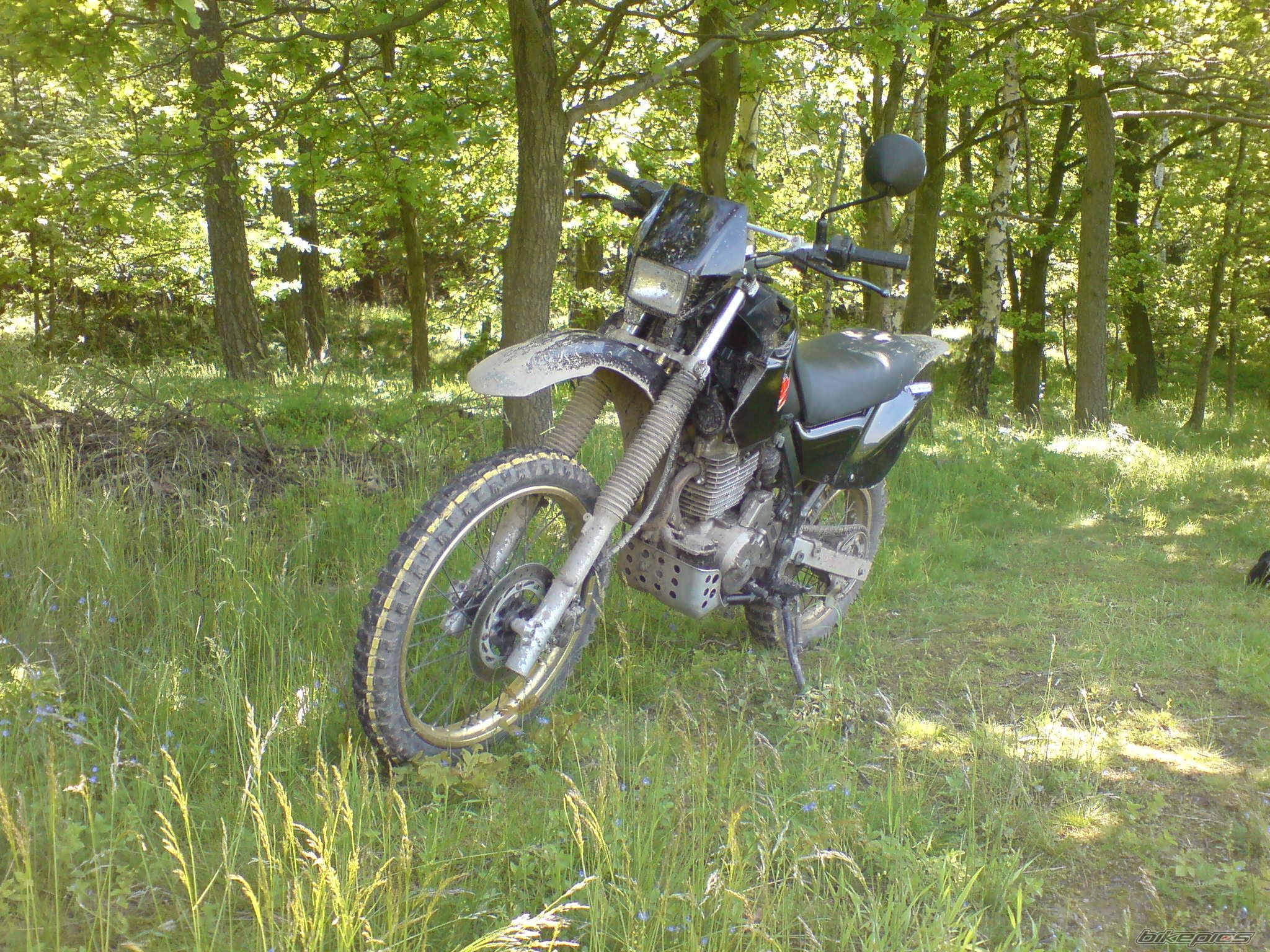 1988 HONDA NX 650 DOMINATOR | Picture 2016082 motorcycle photo