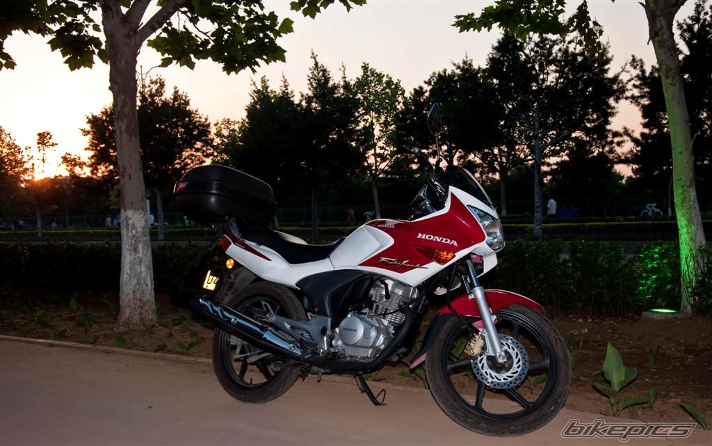 2010 HONDA CBF 150 | Picture 2016083 motorcycle photo