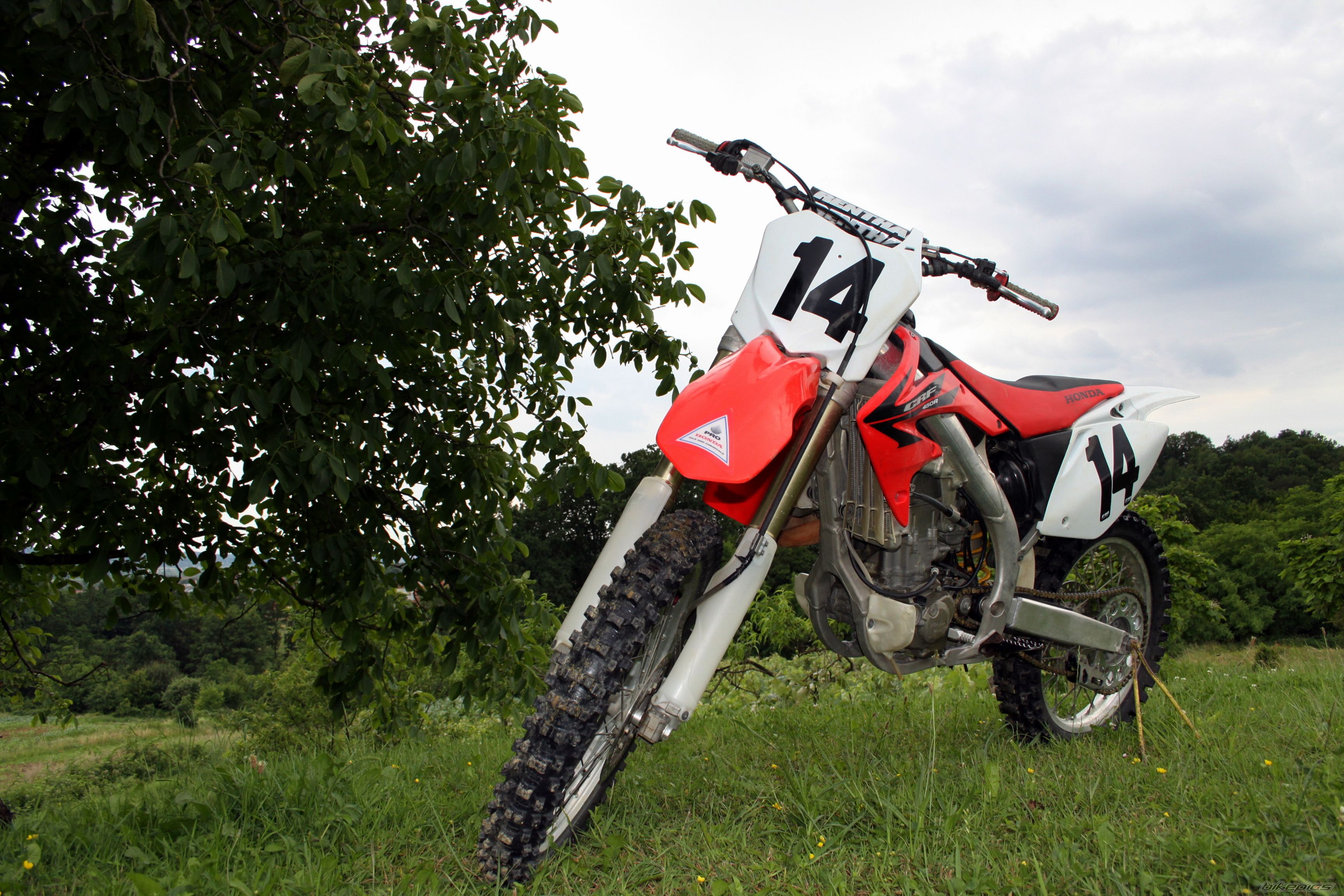 2006 HONDA CRF 450 | Picture 2016220 motorcycle photo
