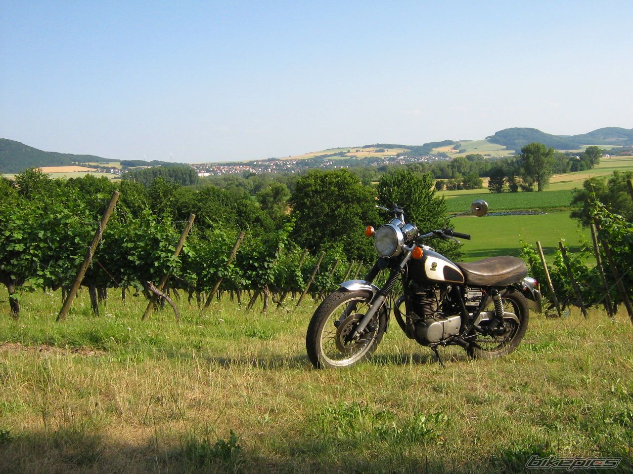 1982 YAMAHA SR 500 | Picture 2016311 motorcycle photo