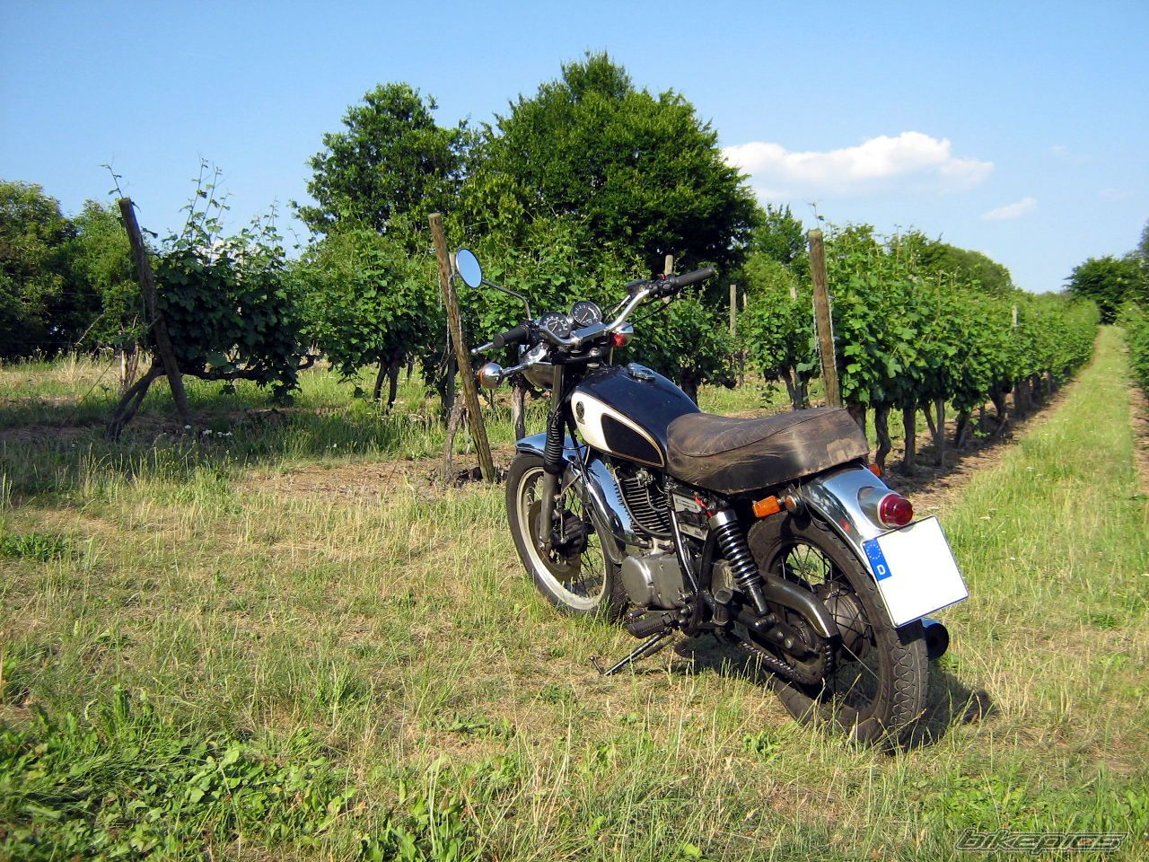 1982 YAMAHA SR 500 | Picture 2016312 motorcycle photo