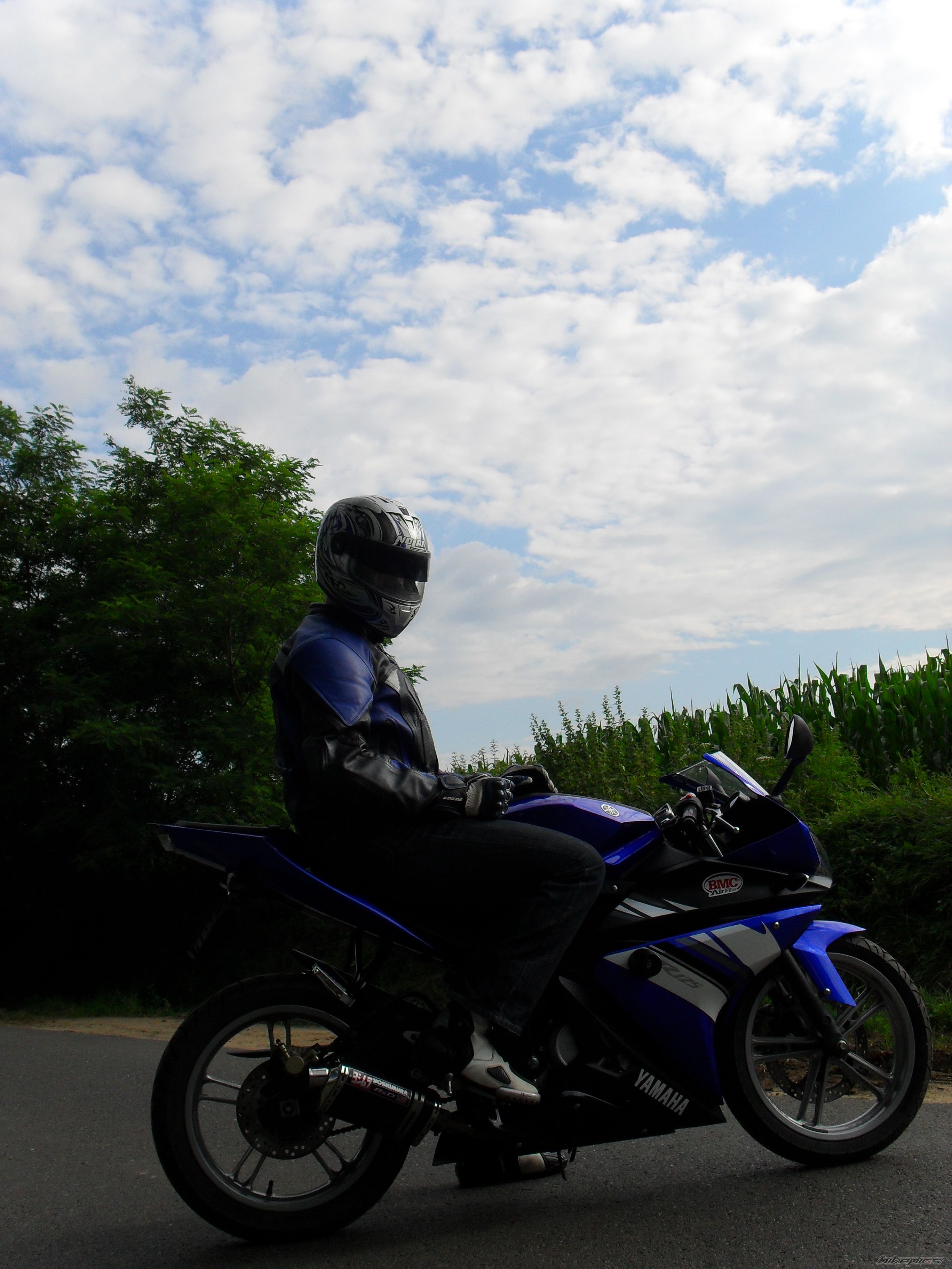 2009 YAMAHA YZF R125 | Picture 2016356 motorcycle photo