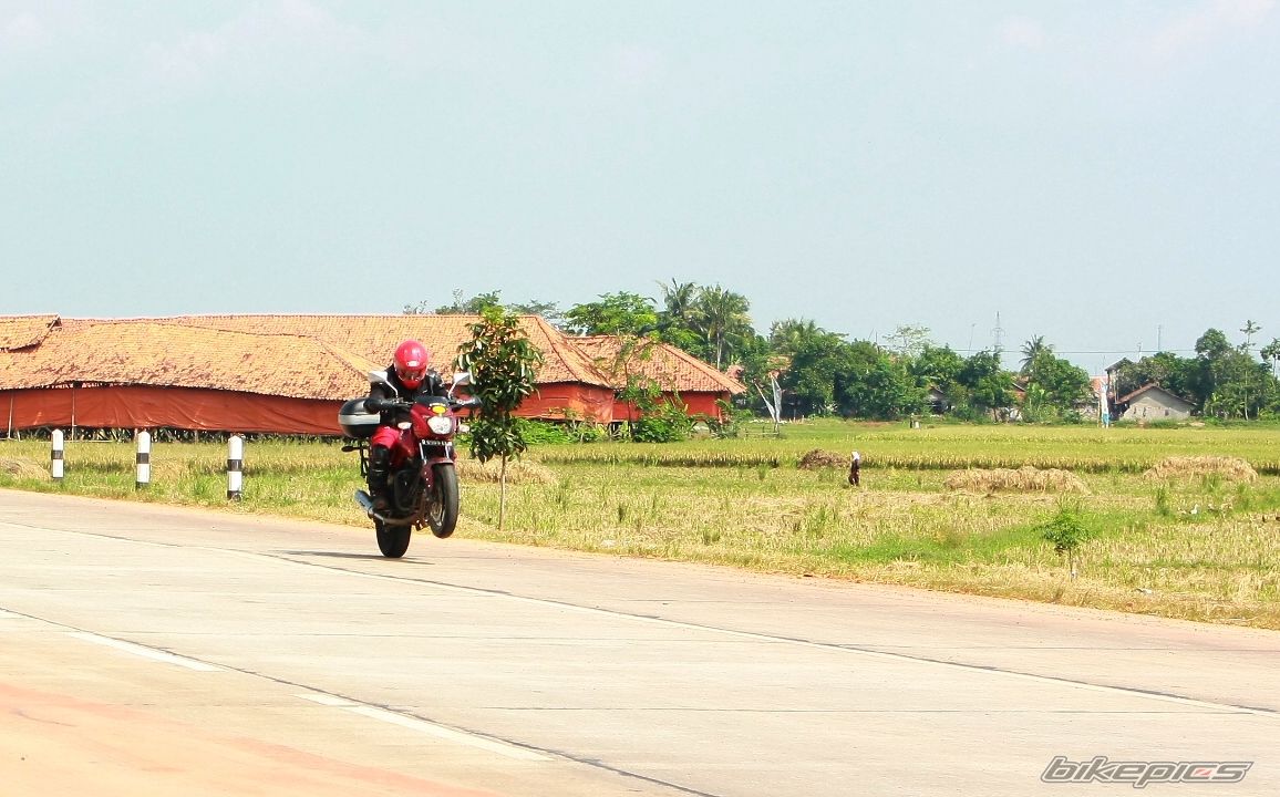 2008 BAJAJ PULSAR 200 | Picture 2016763 motorcycle photo