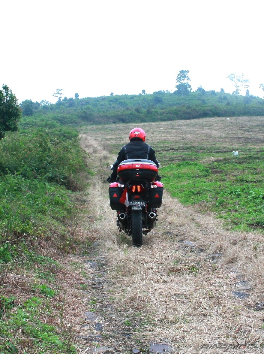 2008 BAJAJ PULSAR 200 | Picture 2016764 motorcycle photo