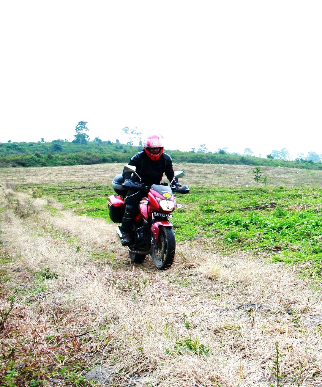 2008 BAJAJ PULSAR 200 | Picture 2016767 motorcycle photo