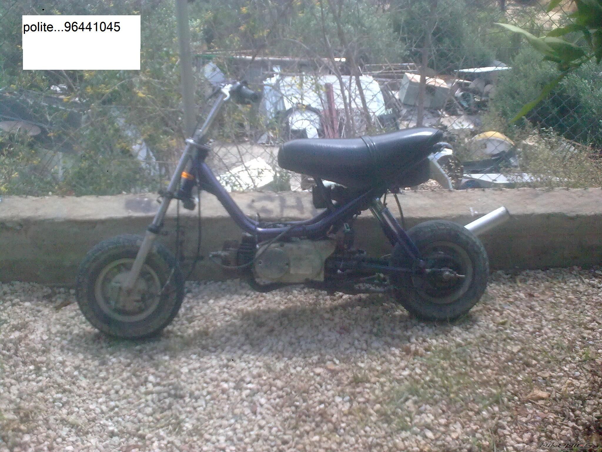 2009 HONDA CHALY | Picture 2017228 motorcycle photo