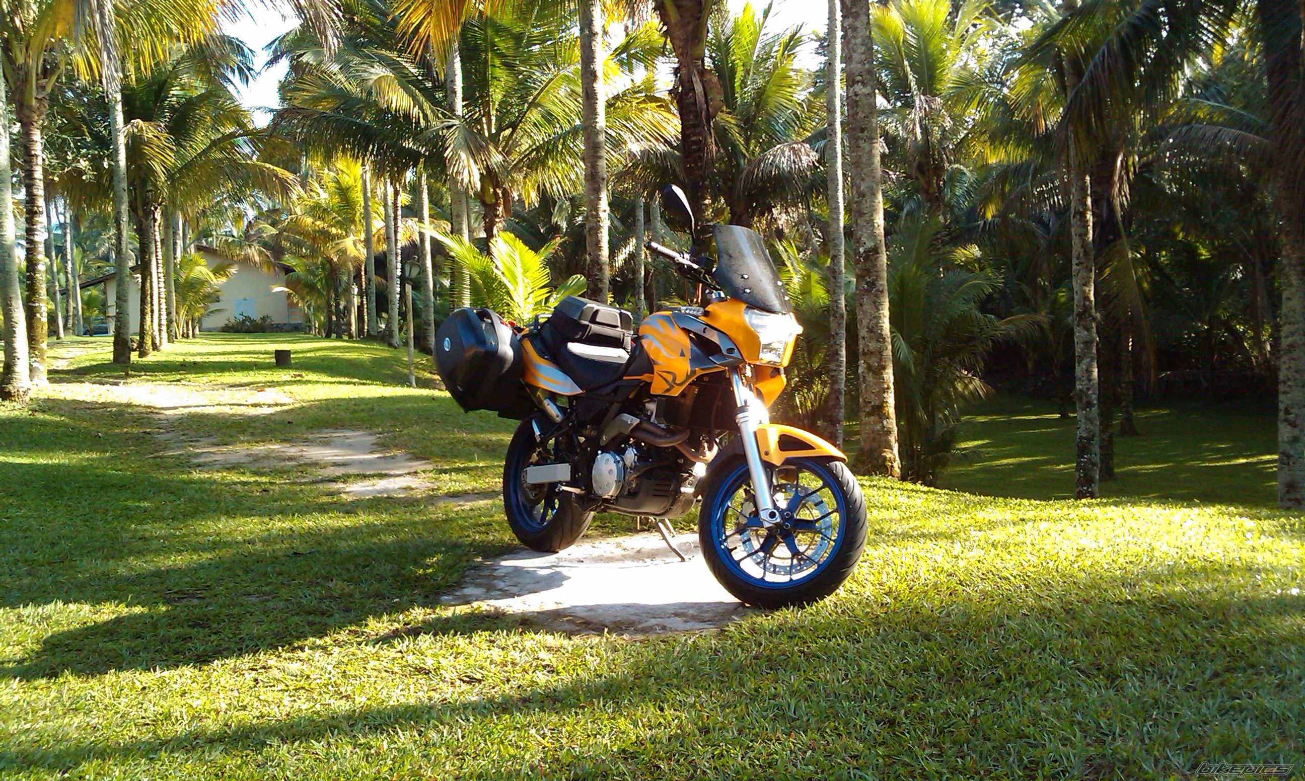 2009 APRILIA PEGASO 650 | Picture 2017235 motorcycle photo