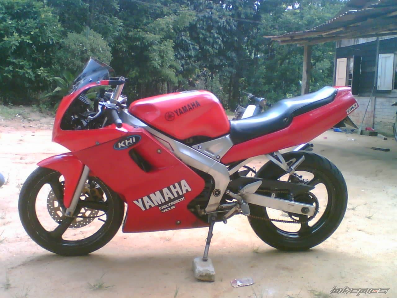 1996 YAMAHA TZM 150 | Picture 2017369 motorcycle photo