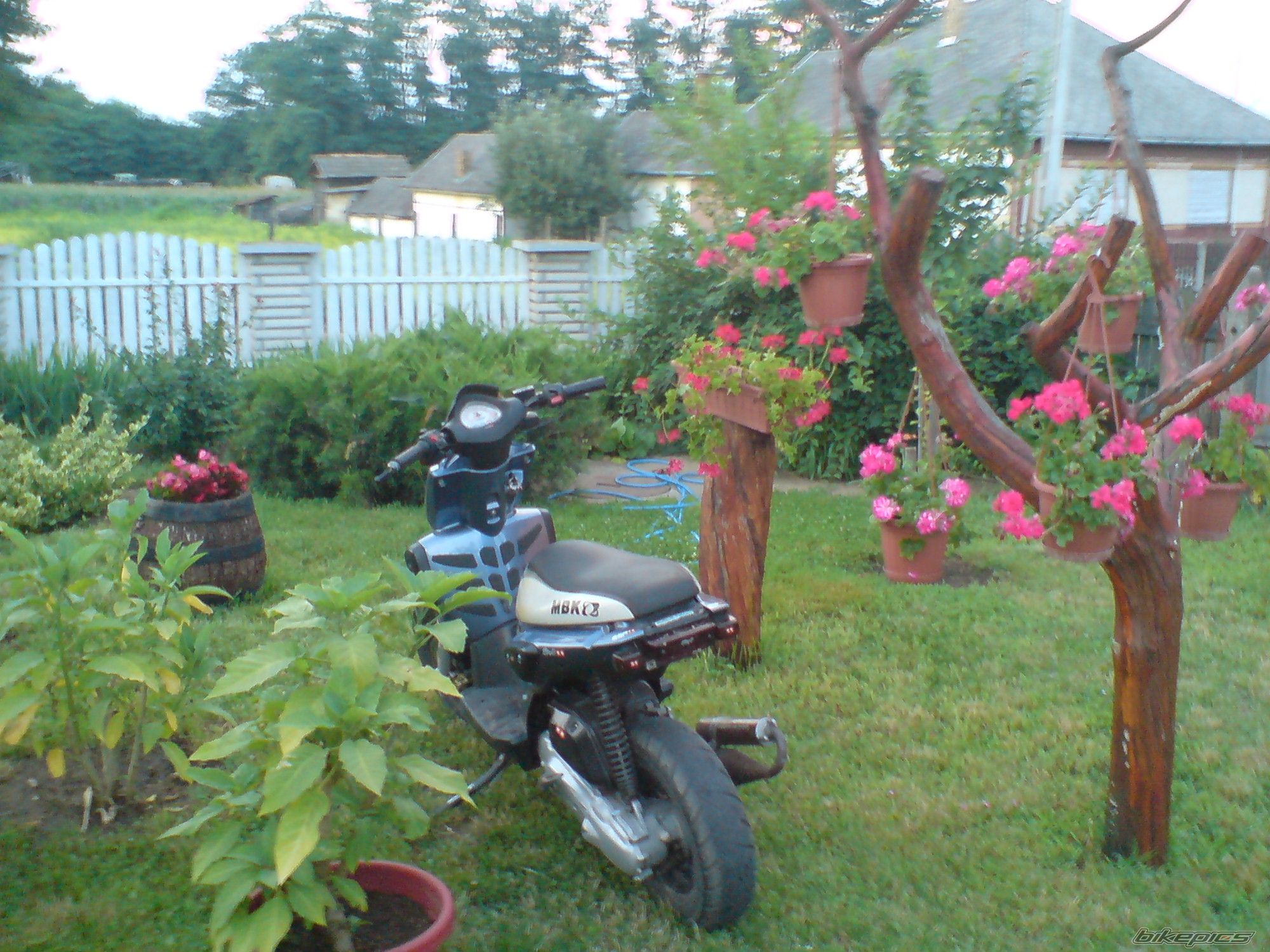 2008 RIEJU RR 50 | Picture 2017396 motorcycle photo