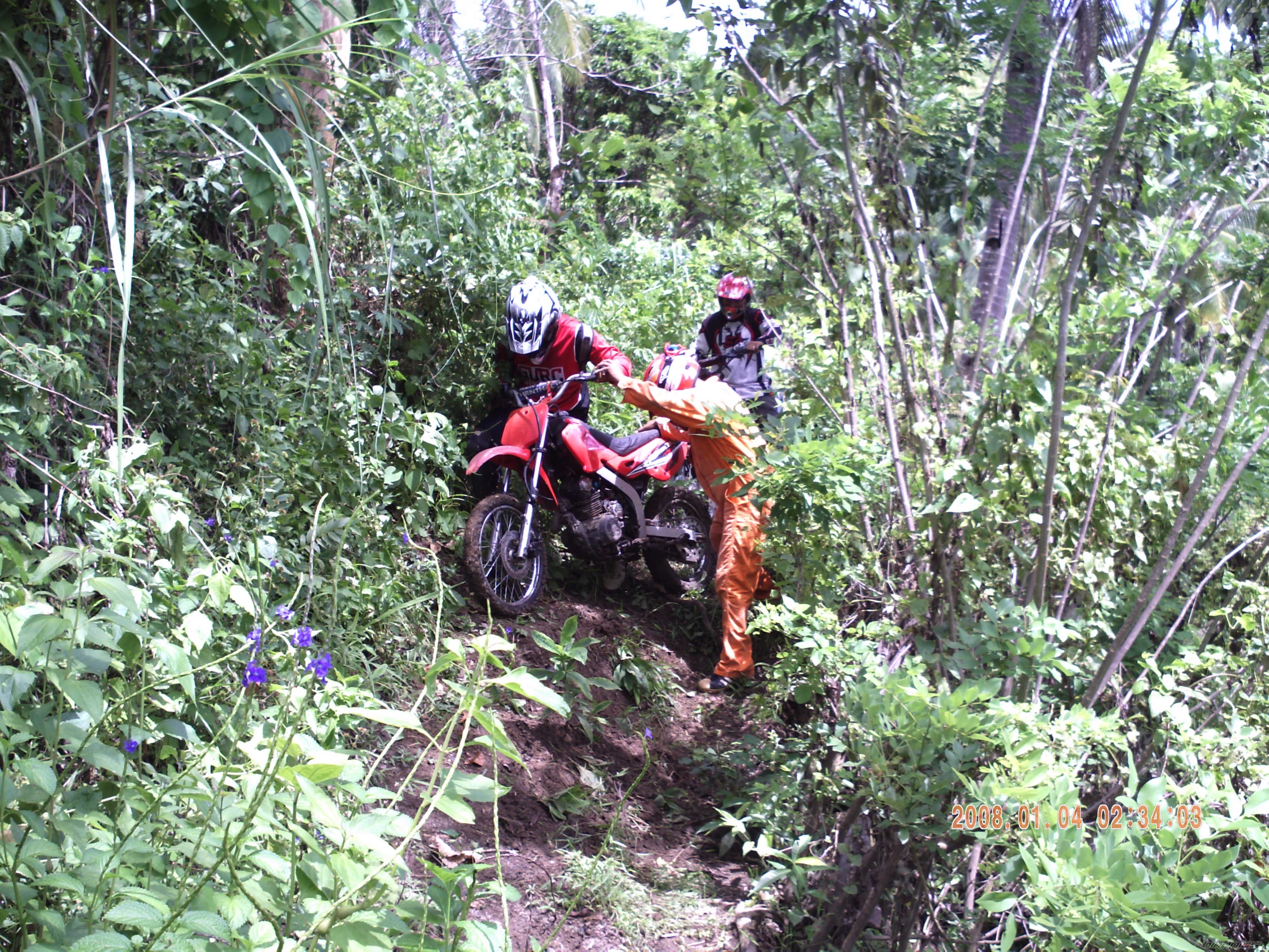 2007 HONDA HONDA DREAM 110 | Picture 2017903 motorcycle photo