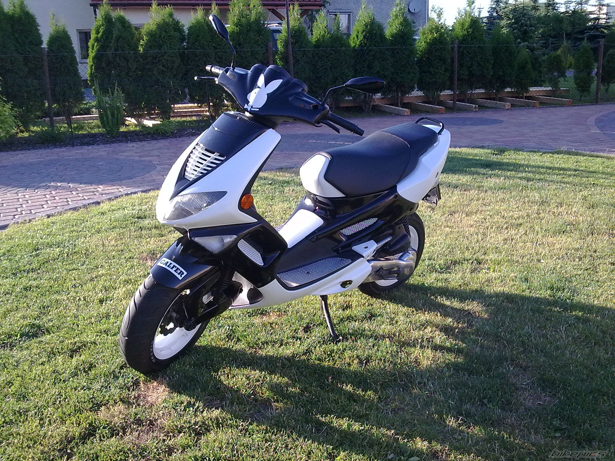 2005 PEUGEOT SPEEDFIGHT | Picture 2018199 motorcycle photo
