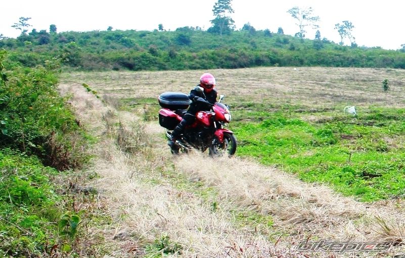 2008 BAJAJ PULSAR 200 | Picture 2018610 motorcycle photo