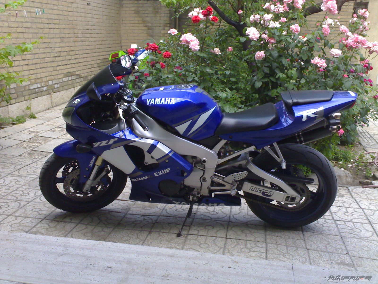 2009 YAMAHA YZF R1 | Picture 2018620 motorcycle photo