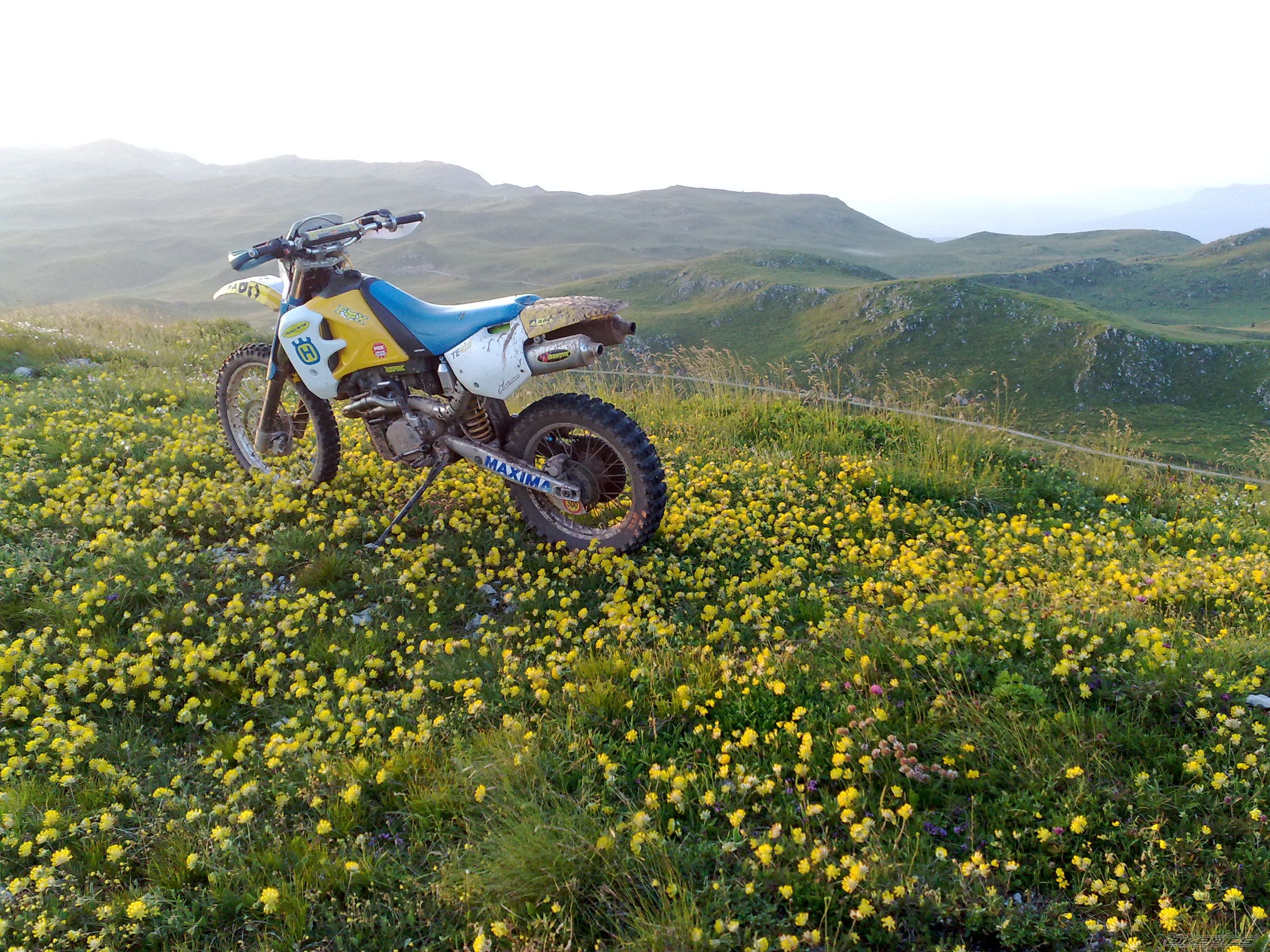 1996 HUSQVARNA TE 400 | Picture 2018935 motorcycle photo